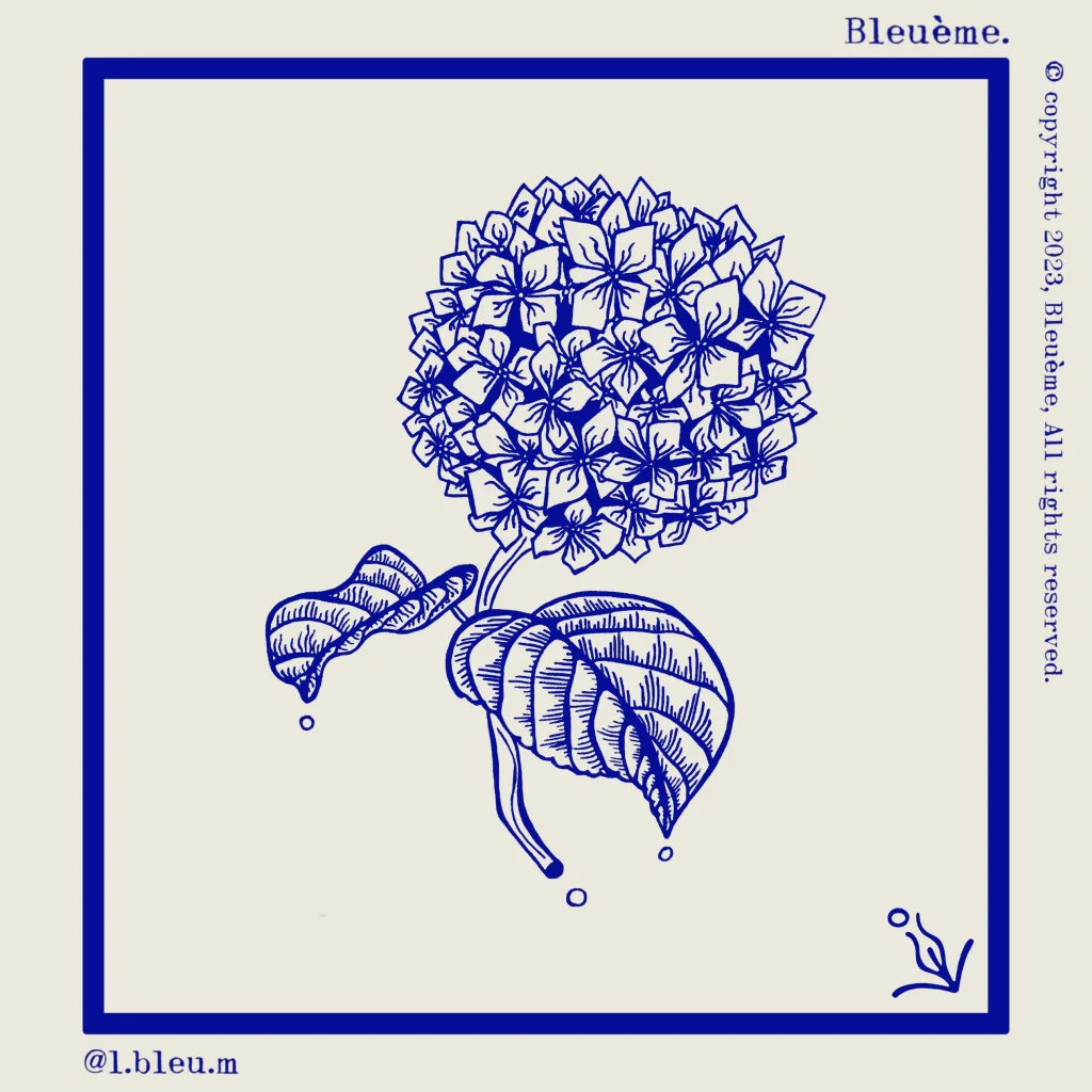 HORTENSIA