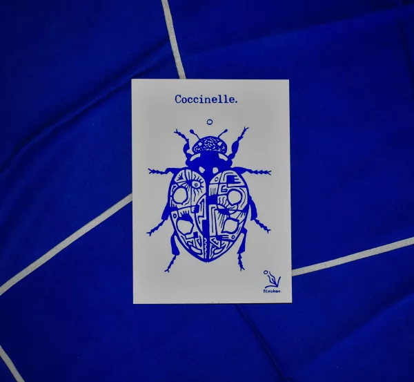 Carte – Image 3